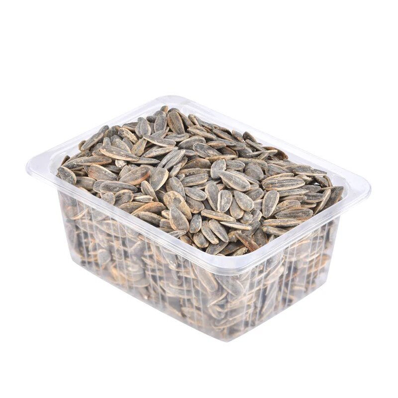 AYCEKIRDEK DAKOTA XL12 JUMBO TUZLU