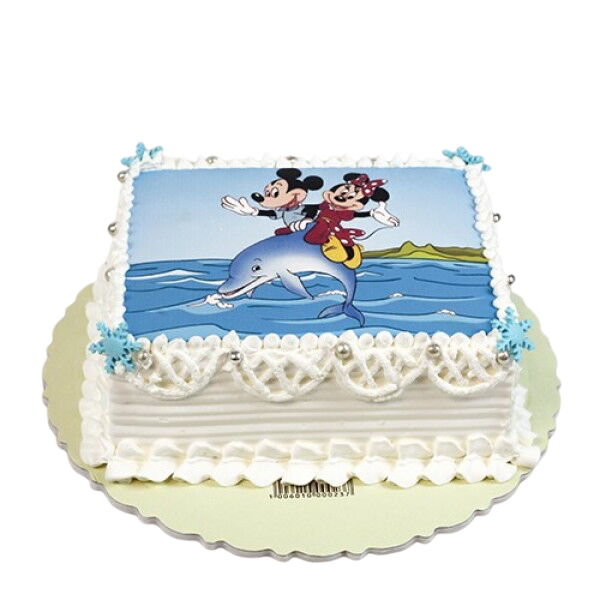 DOĞUM GÜNÜ RESİMLİ PASTA KG