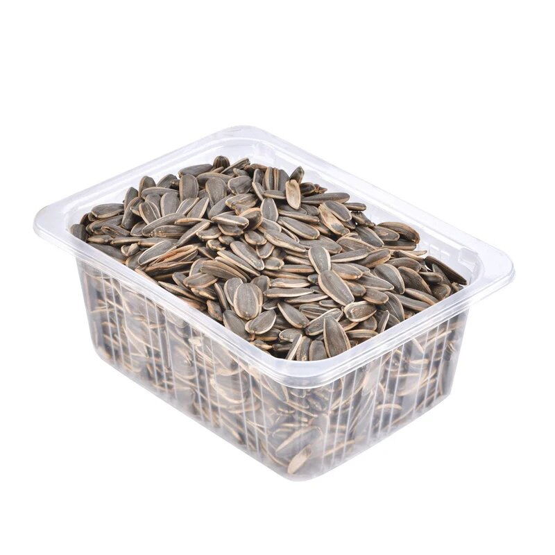 AYCEKIRDEK DAKOTA XL12 JUMBO TUZSUZ