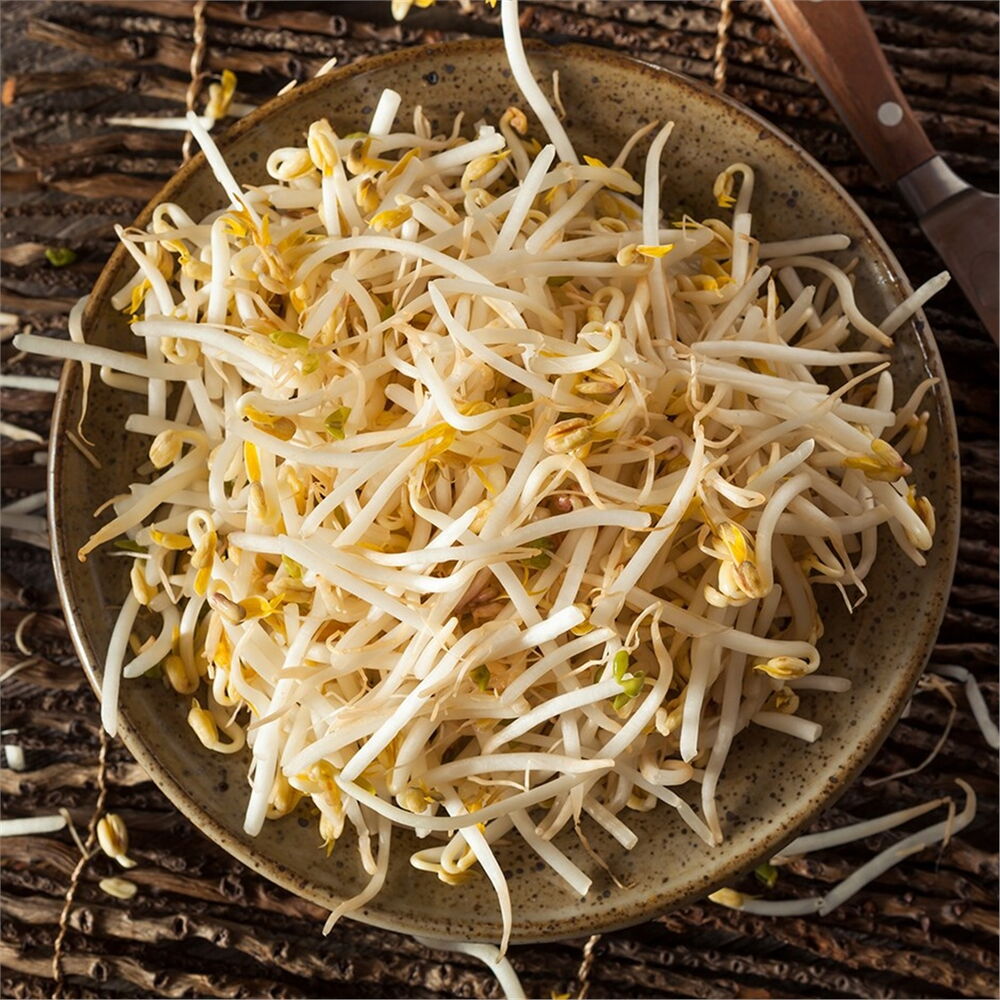 SOYA FASULYE FILIZI 400 G